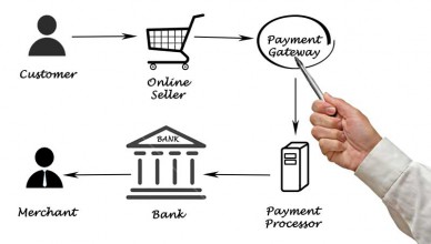 payment gateways options